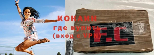 дурь Бородино