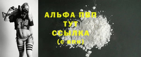 дурь Бородино