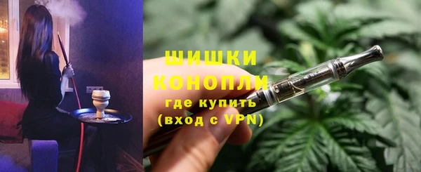 дурь Бородино