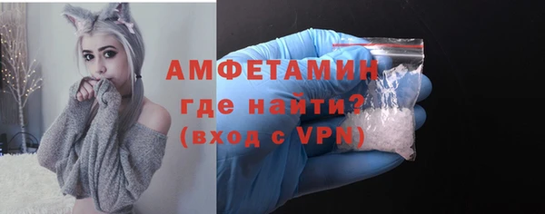 дурь Бородино