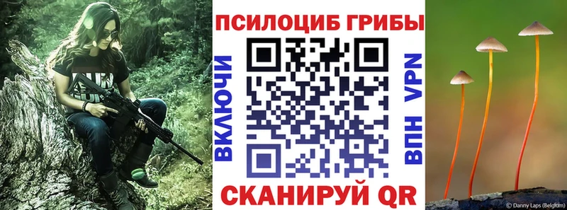 Купить  Артёмовский  Псилоцибиновые грибы мицелий 