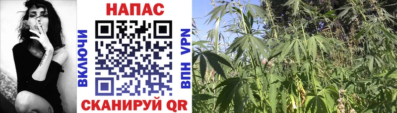Купить  Артёмовский  Шишки марихуана Bruce Banner 